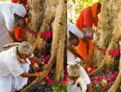 Pohon Di India Meski Sambar Petir Tak Mati,Warga Langsung, Sembah Pijat, Dan Di Doakan