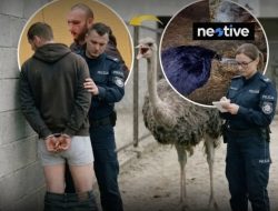 Pria Di Polandia Di Penjara 7 Setelah Kasus Kekerasan Terhadap Burung Unta.