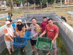 Polisi Hadir Membawa Solusi, Kapolsek Tabir Ulu Inisiasi Pemanfaatan Lahan Eks Tambang Jadi Produktif