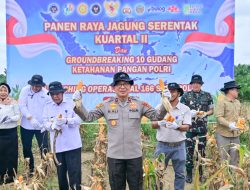 Polda Jambi Gelar Panen Raya Jagung Serentak Kuartal II 2026, Dukung Program Ketahanan Pangan Nasional.