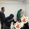 Operasi Antik Siginjai 2026, Satresnarkoba Polresta Jambi Gerebek Dua Rumah Kos, Amankan Terduga Pelaku dan Barang Bukti.