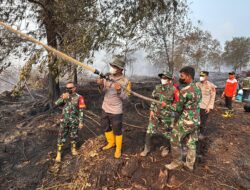 Polda Jambi Bersama Forkopimda Cek Langsung Lokasi Kebakaran di HLG Londerang.